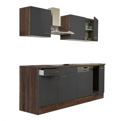 Homelux 1