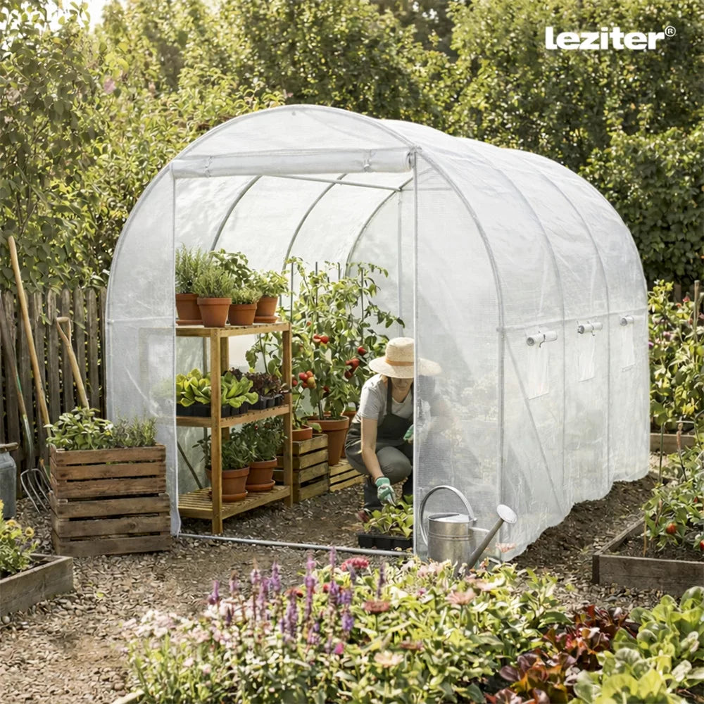 Homelux 2
