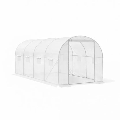 Homelux 1