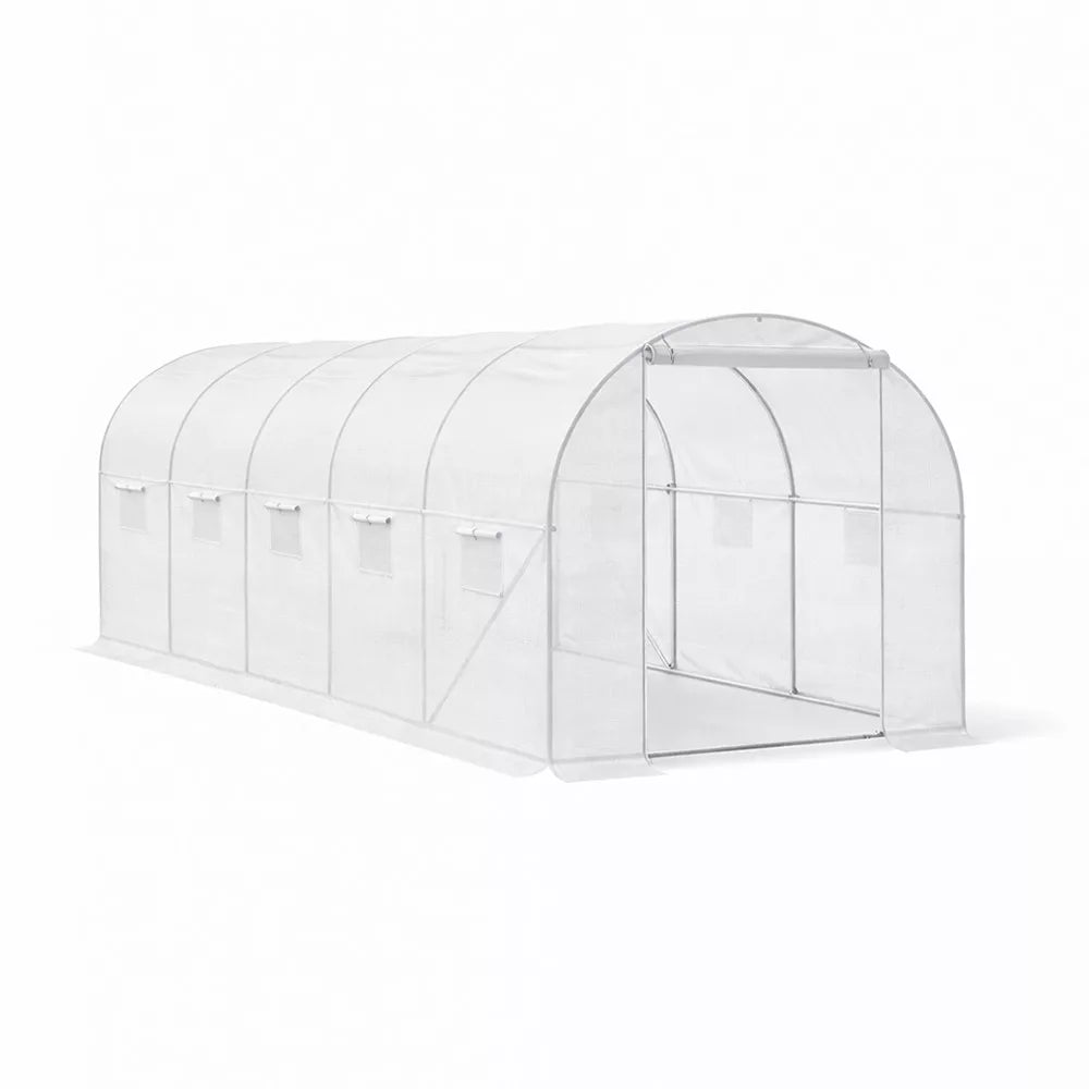 Homelux 1