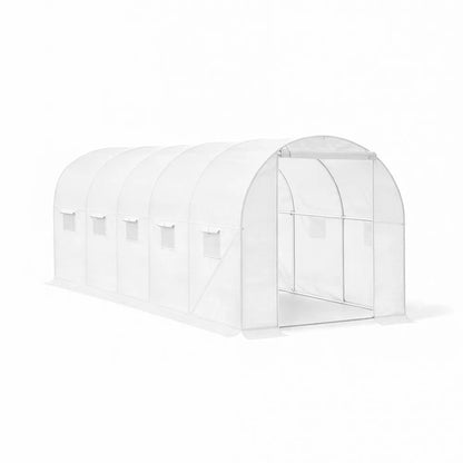 Homelux 1
