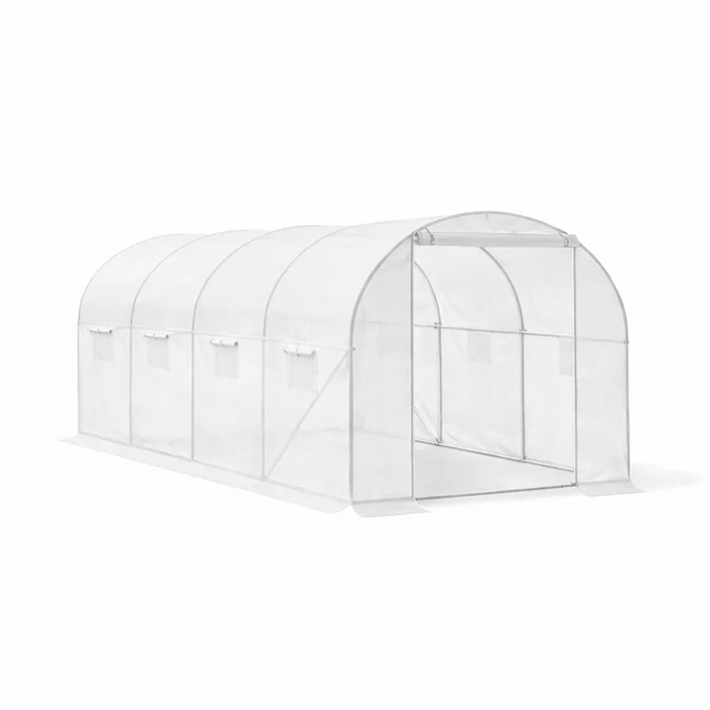 Homelux 1