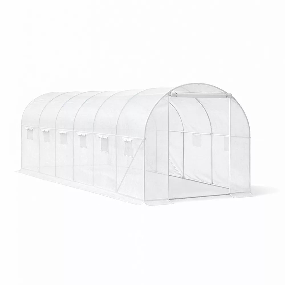 Homelux 1