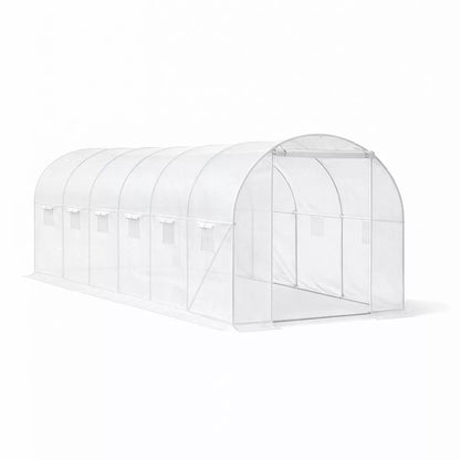 Homelux 1