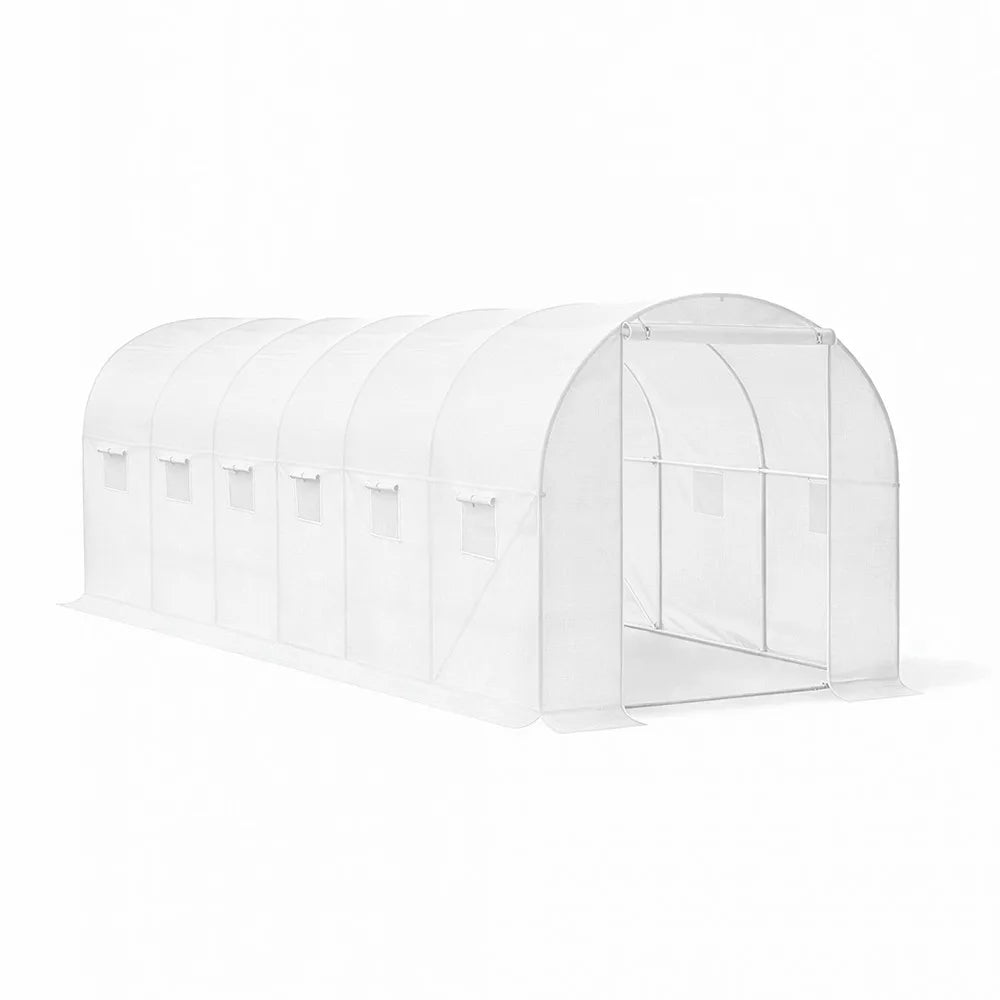 Homelux 1