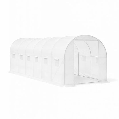 Homelux 1