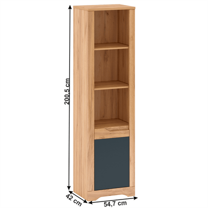 Raft deschis, stejar craft auriu / gri grafit, dreapta, FIDEL R2