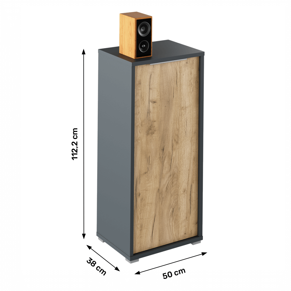 Dulap, grafit/stejar artisan, RIOMA NEW TYP 10